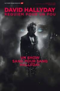 Affiche concert David Hallyday Zénith de Dijon