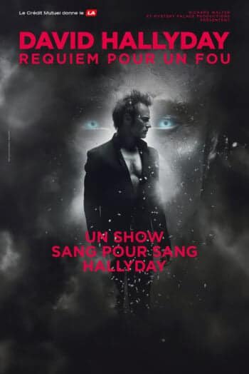 Deux Soirées au Zénith de Dijon : David Hallyday et Zaho de Sagazan en Concert 1 Affiche concert David Hallyday Zénith de Dijon