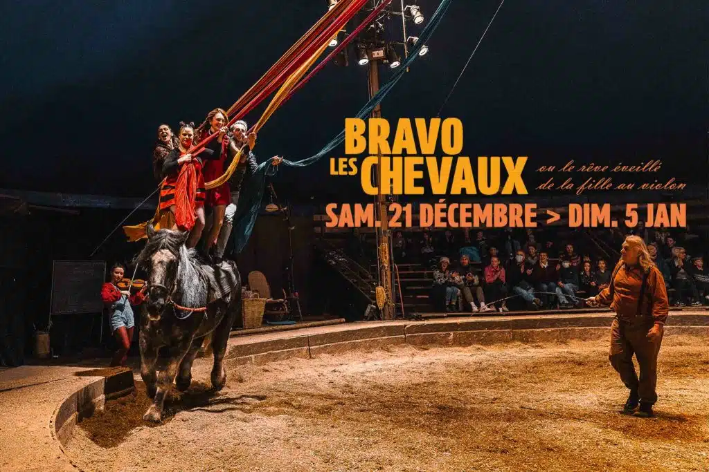 Découvrez le spectacle équestre "Bravo les chevaux" par le Cirque Pagnozoo 1 Affiche spectacle équestre Besançon