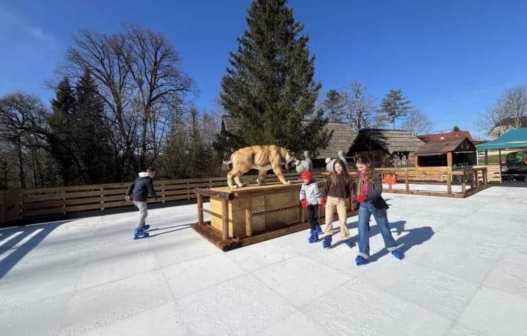 Photo patinoire dino zoo parc ré ouverture des porte a partir du 22 février 2025