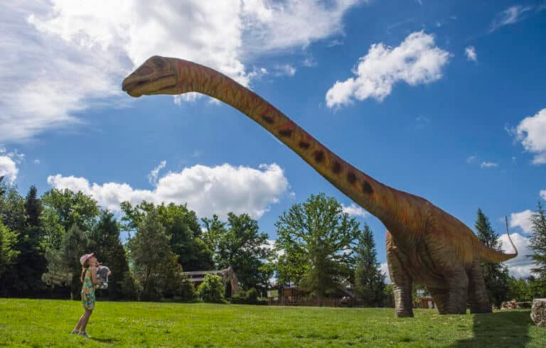 Un été préhistorique au Dino-Zoo : une aventure immersive pour toute la famille