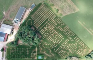 Foucherans : quatre labyrinthes de maïs à explorer jusqu’au 31 août 2025