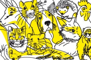 Jouez et gagnez des lots dans le cadre de la journée Besac'Animal le 4 octobre à Besançon