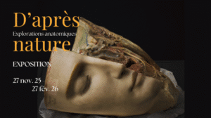 visuel-expo-atheneum-