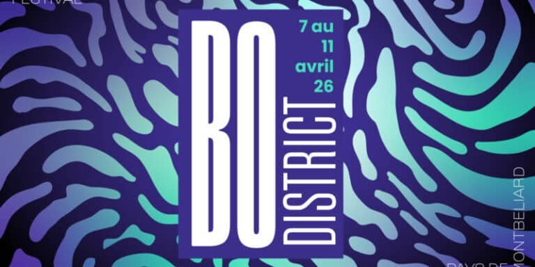 Accueil 6 - Quizzer Bo district