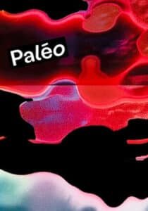 Spectacles de la Semaine à Besançon : Rires et Émotions au Programme 2 - Quizzer paleo festival