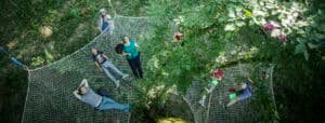 Arbres-Mondes 2026